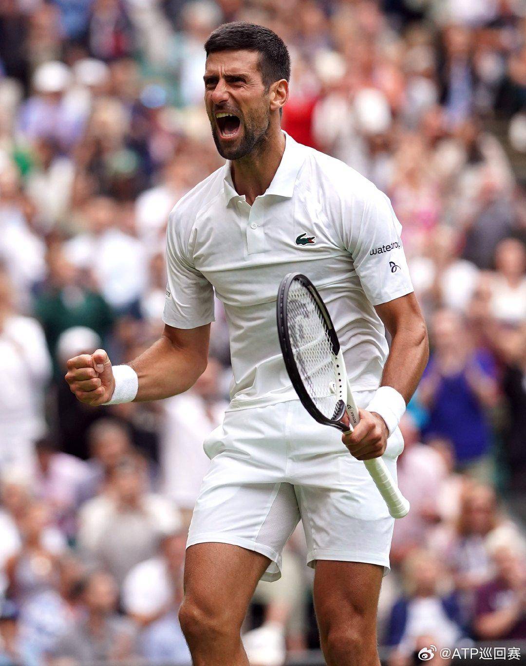 术价值仍然 术价值仍然